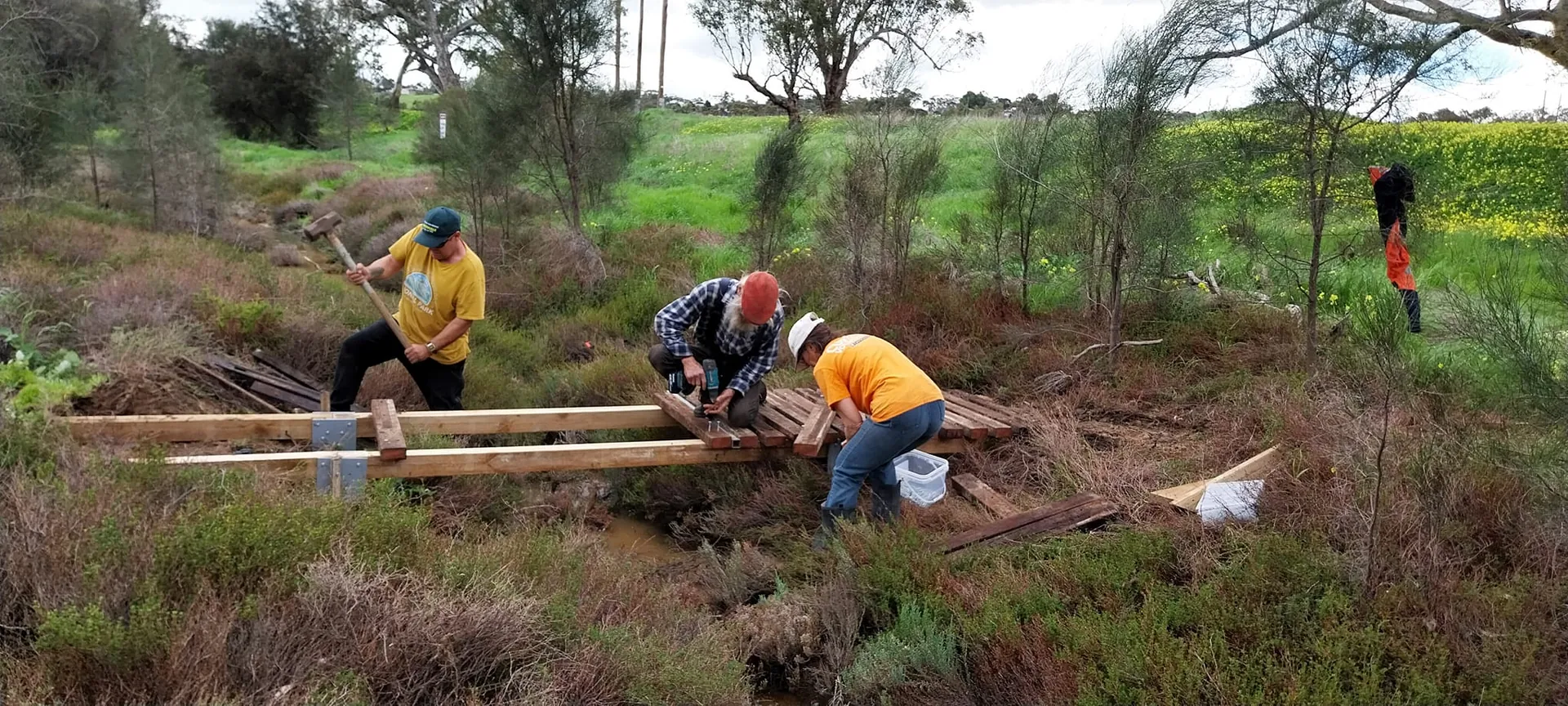 Planting a sapling